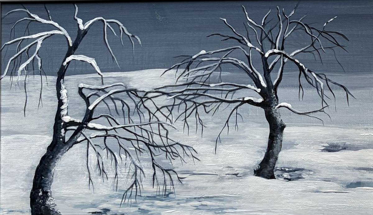 Bild von Heidi Schumacher Bild von Heidi Schumacher